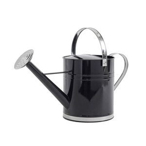Arrosoir de luxe en fer noir avec long bec, finition peinte durable, outil de jardinage, arrosoirs, outils d'arrosage de jardin - Product Image 1