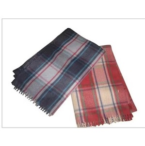 Custom Logo Pledge <b>Blanket</b> Cozy Flannel Fleece Throw for Promotional Gifts Travel and Office Available For Sale - Product Image 2