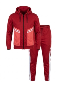 Conjunto Deportivo para Hombre, Estilo Urbano, Ropa de Invierno, Nueva Llegada, Precio Económico al por Mayor, Cuello con Capucha, Colores Sólidos, Logotipo Personalizado - Product Image 5