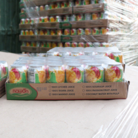 Nawon Jus de mangue 100% pur, vente en gros à bas prix, fabricant vietnamien de jus de fruits tropicaux en canettes aluminium de 330 ml, échantillon gratuit, OEM, faible MOQ