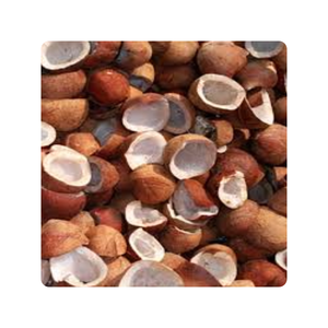 COPRA DE COCO SECA PREMIUM DE VIETNAM PARA MAYORISTAS Y DISTRIBUIDORES - Product Image 1