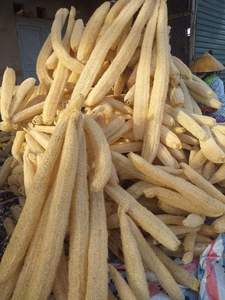 Luffa entière séchée naturelle pour la production d'éponges de bain DIY - Product Image 3