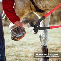 10 inç 8 adet Farrier araçları at keçi Hoof düzelticiler için keçi ve koyun ile karbon çelik makası makası tırnak makası
