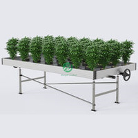 Serre agricole multi-spaces Hangdi à structure galvanisée, argentée, polyvalente, ultra-résistante