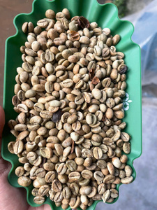 High Quality Vietnamese ISO/HACCP Certificates High Grade Fair Trade Standard Processed ROBUSTA GREEN <b>COFFEE</b> <b>BEANS</b> 60kg Jute Bag - Product Image 5