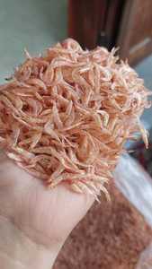 Crevettes séchées vietnamiennes | Produit premium et nutritif - Product Image 6