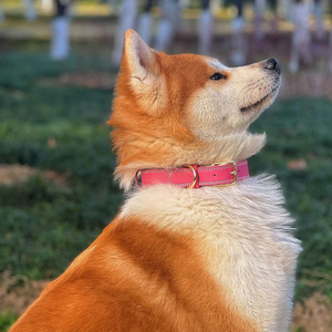Top Selling Luxury Style Solid Color PU Leather <b>Dog</b> Collar 100% Superior Quality Eco-Friendly Neck Wear For <b>Dogs</b> In Low MOQ - Product Image 4
