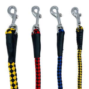 correa personalizada para perro - Product Image 1