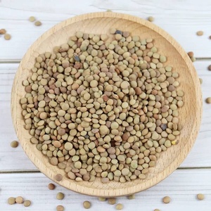 Lentejas Rojas/Verdes/Amarillas Enteras, 100% Naturales y Orgánicas, de la Mejor Calidad, Secas, a Granel, 25 kg, Marca TZ453G, Chana Dal para Uso Alimentario - Product Image 3