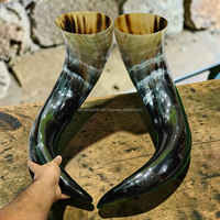 Coupe à boire en corne de bœuf Viking de qualité supérieure, faite à la main, écologique, au meilleur prix