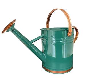 Powder Coated <b>Iron</b> Watering Cane <b>Lightweight</b> Eco-Friendly Capacity Leakproof Garden Watering Tool Accessories - Product Image 5