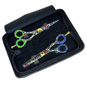 Kit professionnel de coiffure : Ciseaux de coupe et ciseaux à effiler 5,5 pouces pour salon de beauté - Product Image 1