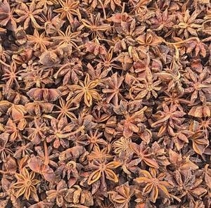 Anis étoilé de qualité supérieure, origine Vietnam, prix avantageux, épice entière de haute qualité pour assaisonnement, idéal automne-printemps - Product Image 6