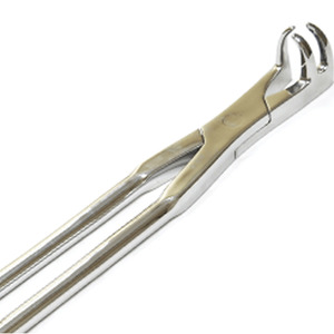 Forceps dentaire équin à trois racines, instrument d'extraction dentaire vétérinaire pour chevaux, 19'' - Product Image 1