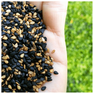 Fabricant de graines de sésame de qualité supérieure pour l'agriculture et l'alimentation, fournisseur pour les usines - Product Image 5