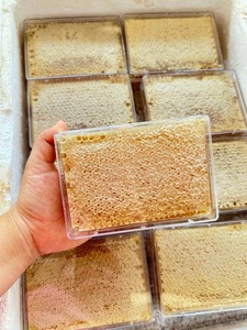 MIEL DE ABEJA PURA EN PANELES ORGÁNICA NATURAL DULCE PARA LA INDUSTRIA ALIMENTARIA - Product Image 5
