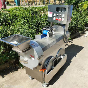 Machine de coupe de persil industrielle compacte professionnelle usine de traitement de légumes de moteur de lavage de champignon de haute Performance - Product Image 4