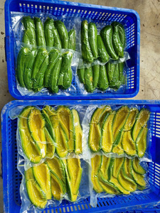 Purée d'avocat IQF populaire du Vietnam |   Étiquette Clean Label pour produits surgelés naturels Green Flash |   Cubes Idéaux pour la crème glacée végane et les sauces culinaires - Product Image 5