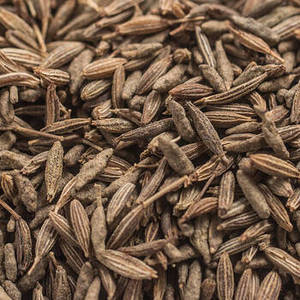 ยี่หร่าอินเดีย (เมล็ดยี่หร่า) สดใหม่จากฤดูกาลนี้ แท้ 100% กลิ่นหอมแบบดั้งเดิมจากกูร์การัต ผู้นำเข้าระดับโลก ขายส่งและขายปลีกเครื่องเทศ - Product Image 6
