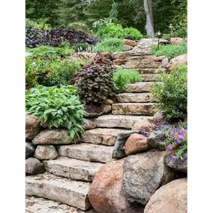 Marches en grès naturel durable, pierres élégantes pour jardins, patios, allées, chemins et aménagements paysagers - Product Image 2