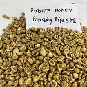 Granos de Café Robusta de Alto Rendimiento, Aptos para Exportación, Pedidos Globales, con Proceso Honey, Granos de Café de Primera Calidad - Product Image 2