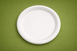 Assiette ronde jetable classique en bagasse biodégradable et compostable pour dîner, fête ou restaurant - Axiom Exports - Product Image 3