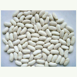 Wholesale Natural Organic Sugar White Kidney <b>Bean</b> High Grade Natural Bulk Dried White Kidney <b>Beans</b> - Product Image 4