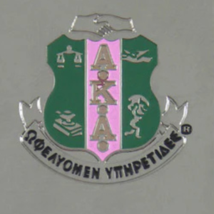 Collar para Perro de Doble Cara AKA, Colgante Estilo Militar Plateado con Letras AKA en Rosa y Verde y Cadena de Bolas con Escudo - Product Image 4