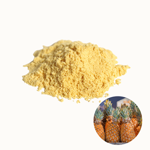 Poudre de peau d'ananas naturelle séchée de qualité supérieure, prix usine, vente chaude en gros, fabriquée au Vietnam - Product Image 1