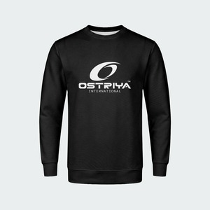 เสื้อสเวตเชิ้ตผู้ชาย OEM สีพื้น ไซส์ใหญ่ ทรงปกติ ผ้าฝ้าย 100% เสื้อผ้าสตรีทแวร์ฤดูหนาว แขนยาว คอกลม แห้งเร็ว - Product Image 6