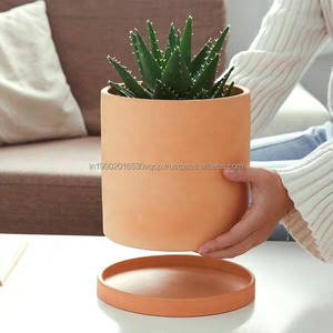 Pots à plantes en terre cuite longs, en forme de cactus et de fleurs, pour la maison, avec plateau, pots respirants et écologiques - Product Image 4