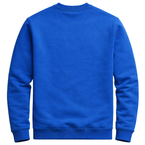 Sweat-shirt en chenille Phi Beta Sigma pour hommes, tissu de qualité supérieure, coupe confortable, vêtements de fraternité grecque, tenue décontractée - Product Image 5