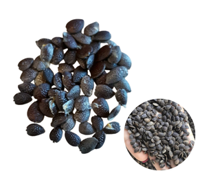 Semillas de Maracuyá de Calidad de Exportación a Precio de Mayoreo, Empaquetado a Granel - Product Image 1