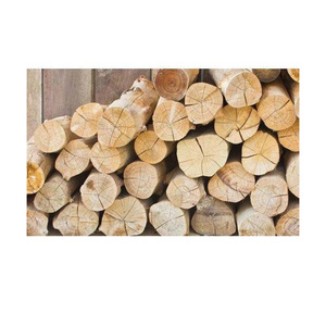 Precio de Descuento en Troncos de Madera de Teca Africana, Madera Premium en Stock, Suministro al por Mayor - Product Image 1