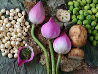 Graines de fleur de lotus de qualité supérieure destinées à l'exportation du Viet Nam