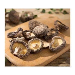 AVAILABLE Vacuum Fried Shiitake <b>Mushroom</b> For Practical Crispy Snack Serving And Commercial Catering Supply Boxes - Product Image 6