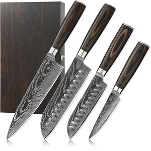 Ensemble de couteaux de chef professionnels en acier Damas, collection complète de couteaux de cuisine pour hôtel, restaurant, école culinaire - Product Image 1