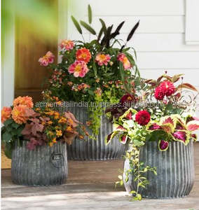 Ensemble de trois jardinières élégantes en argent poli pour une utilisation en intérieur et en extérieur, parfaites pour la décoration de balcon et au prix de gros - Product Image 3