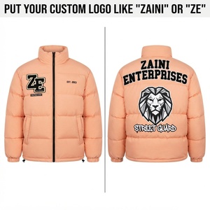Chaqueta Acolchada Impermeable y Cortavientos con Capucha ZAINI ZE-209, 220 GSM, Poliéster, Personalizable OEM/ODM, Invierno - Product Image 1