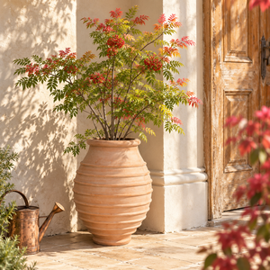 Pot en ciment style provençal français, terre cuite délavée à ventre cintré, pour lavande, romarin et herbes, pour cuisine et jardin <span class=keywords><strong>de</strong></span> style cottage - Product Image 4