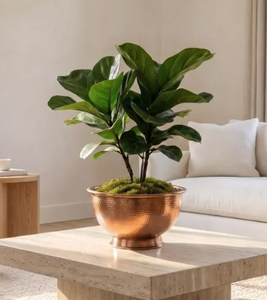 Bol rond décoratif en cuivre fait main avec pied en laiton cuivré antique, haute qualité pour la décoration intérieure et les hôtels. - Product Image 1