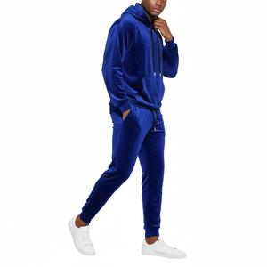Sudadera de Primera Calidad, Moderna, de Marca Privada, Azul, de Terciopelo, Estampada, con Logotipo Personalizado, Ropa Deportiva para Hombre, para Gimnasio - Product Image 1