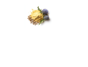 Extracto de Cardo Mariano Premium, Suplemento Herbal Natural para el Apoyo Hepático, Desintoxicación, Antioxidante, Bienestar y Nutrición Diaria a Base de Plantas - Product Image 1