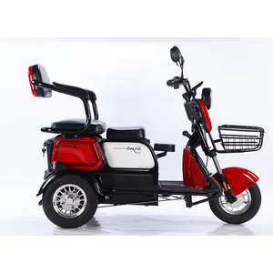 รถสามล้อไฟฟ้าสำหรับครอบครัว 600W ขายส่ง พร้อมคอนโทรลเลอร์ 12 ท่อ แบตเตอรี่ตะกั่วกรด ระยะทางไกล - Product Image 1