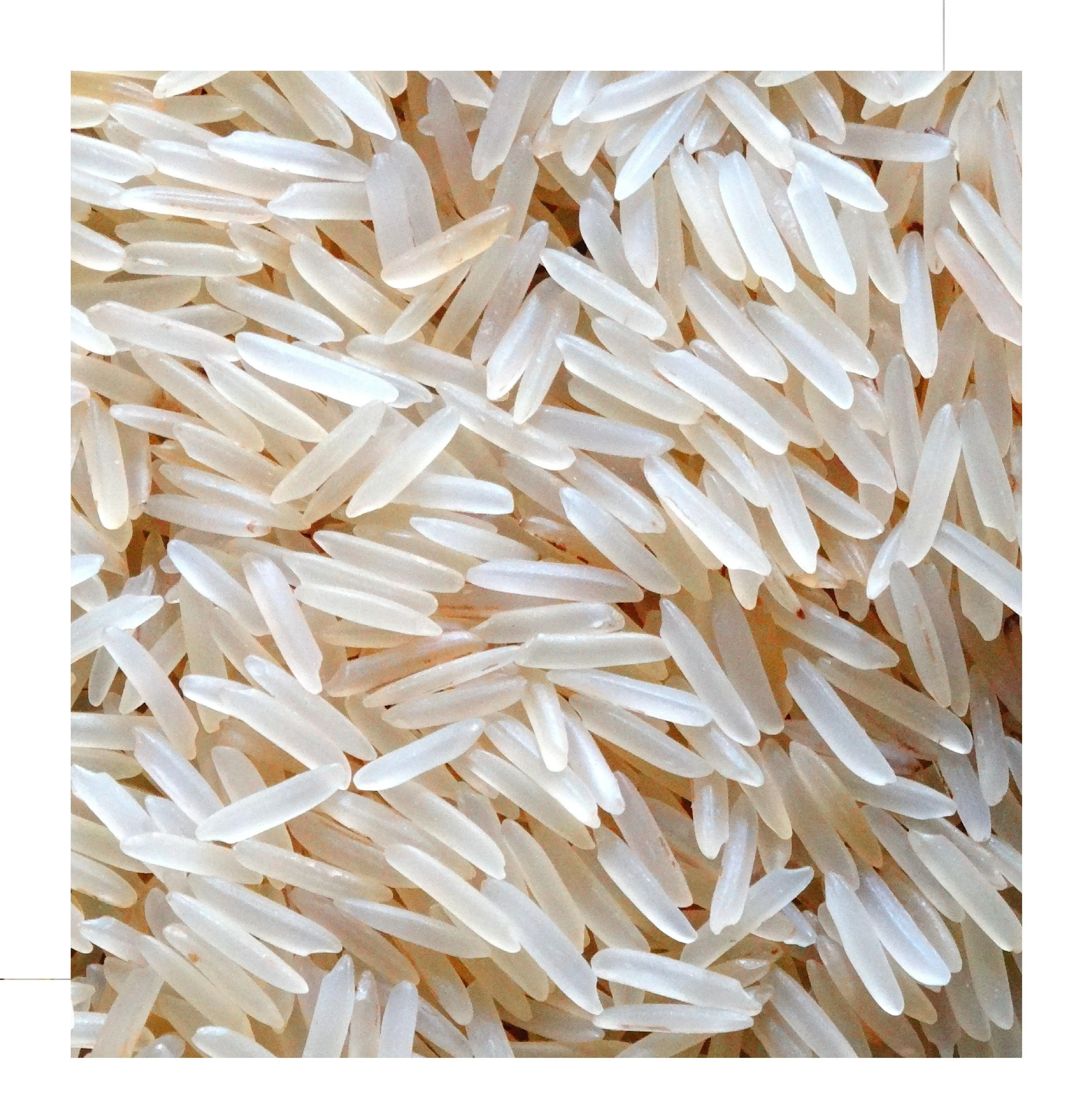 Riz indien basmatic blanc SUPER LONG, de qualité à forte demande, importé du fabricant indien