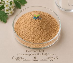 Suministro directo de fábrica HGO de extracto de hoja de espino natural puro (hoja de pinnatifida Crataegus) (grado alimenticio) Especificación 10:1 - Product Image 1