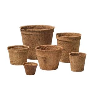 Meilleures ventes : Pot de démarrage biodégradable en fibre de coco Blue Lotus, écologique, pour pépinière, à élagage aérien, motif carré, 200 unités - Product Image 1