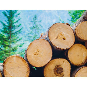 Madera de construcción de calidad profesional, de madera blanda, con resistencia superior y durabilidad a largo plazo. - Product Image 6