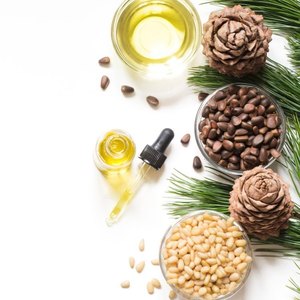 Pure Natural Cedarwood <b>Essential</b> <b>Oil</b> for Aromatherapy Wellness Skin Care Hair Care and Home Fragrance Applications for Export - Product Image 1