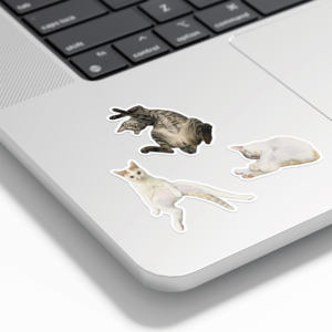 Autocollants de batte de cricket - Product Image 4